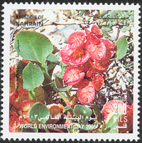 World Environment Day 2003 - 200 fils