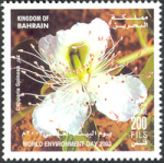 World Environment Day 2003 - 200 fils
